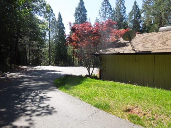 17330 Hummingbird Ln, Brownsville, CA 95919